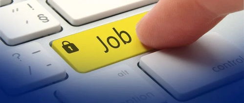 自學編程與科班出身差異何在？網友直呼“說到心坎里”